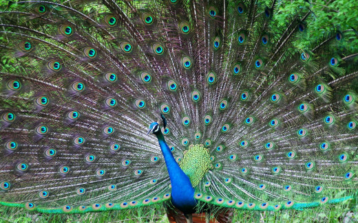 144128 (a): :1920x1200